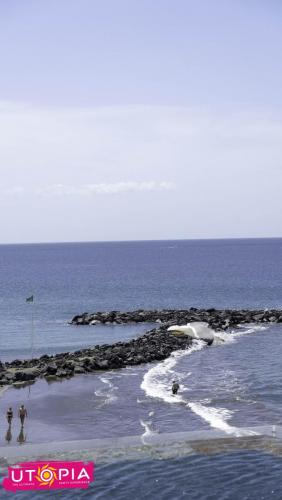 DSC00651